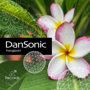Dan Sonic - Frangipani